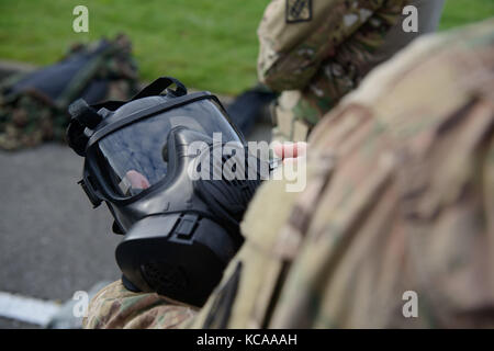 M 50 joint Service Allgemeine Maske Stockfoto