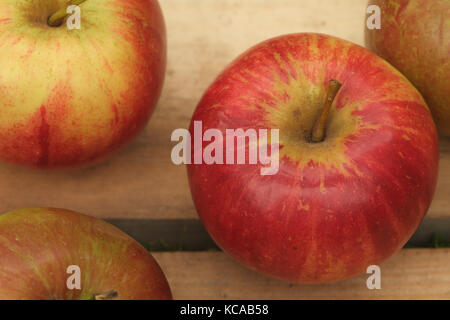Red pippin Äpfel auf einer hölzernen bacground Stockfoto