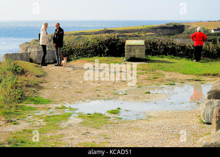 Isle of Portland, Großbritannien. 3. Okt 2017. UK Wetter. Es gibt Pools des stehenden Wassers bei Sunny Portland Bill, nach schweren nächtlichen Regen Credit: stuart Hartmut Ost/Alamy leben Nachrichten Stockfoto