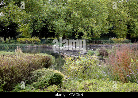 Finsbury Park, London, UK. 3. Okt 2017. Zeile der Möwen in Finsbury Park, London. Credit: Dinendra Haria/Alamy leben Nachrichten Stockfoto