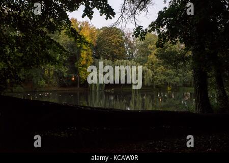 Oktober 2017 - Posen, Wielkopolska, Polen - 3. Oktober 2017 - Posen, Polen - Herbstpark am Abend. (Bild: © Dawid Tatarkiewicz via ZUMA Wire) Stockfoto