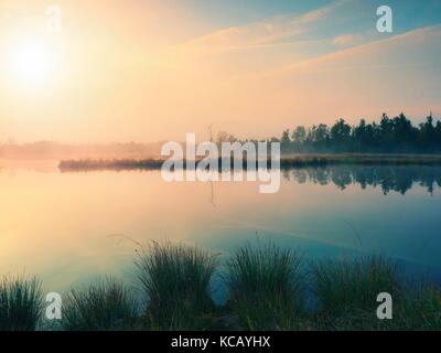 Am frühen Morgen Herbst im Bergsee in verträumte Atmosphäre, Baum auf der Insel in der Mitte. bunte Blätter Inseln, Lila rosa Wolken im Himmel. Stockfoto