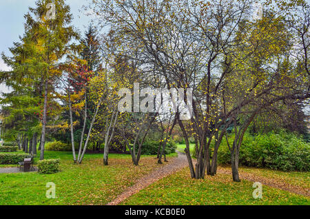 Farbenprächtige Herbstlandschaft im Stadtpark mit Pfad mit Laub und roten Beeren der Eberesche gestreut Stockfoto