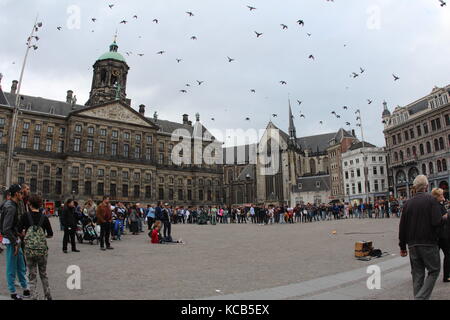 Damplatz mit fliegenden Vögeln, Amsterdam Stockfoto