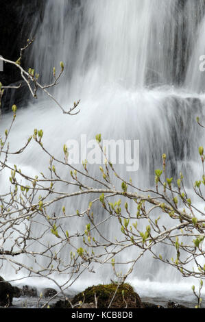 Kaskaden auf Nant Y Llyn zwischen den beiden wichtigsten Wasserfälle. Stockfoto