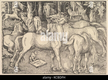 Gruppe von sieben Pferden, 1534, Holzschnitt, Blatt: 8 3/4 x 12 11/16 in. (22,2 x 32,2 cm), Drucke, Hans Baldung (genannt Hans Baldung Stockfoto