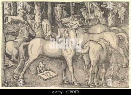 Gruppe von sieben Pferden, 1534, Holzschnitt, Blatt: 8 3/4 x 13 1/8 in. (22,3 x 33,4 cm), Drucke, Hans Baldung (genannt Hans Baldung Stockfoto