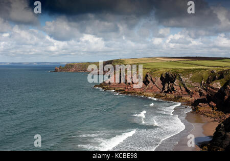 Die Küste von Pembrokeshire Coastal Path in der Nähe von Marloes und St. Brides in West Wales UK Stockfoto