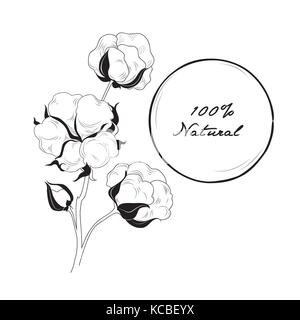 Baumwolle label. natürliches Material mit blume Baumwolle. Hand gezeichnet Floral frame Stock Vektor