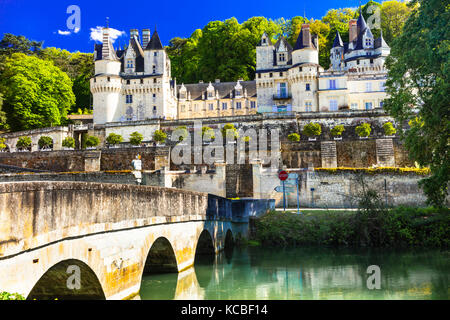 Beeindruckende usse Schloß, Loire Tal, Frankreich. Stockfoto