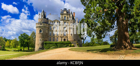 Schöne Märchen castlr Chateau de Brissac in berühmten Loiretal, Frankreich Stockfoto