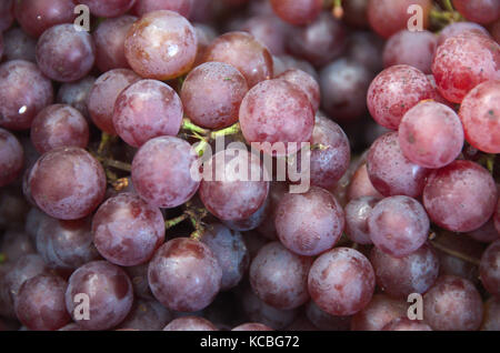 Trauben Cluster Bunch Red Bulk Tisch Wein Bauern Markt Bio Fersh Obst Gemüse Stockfoto