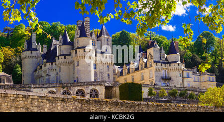 Schöne usse mittelalterlichen Burg, Loire Tal, Frankreich. Stockfoto