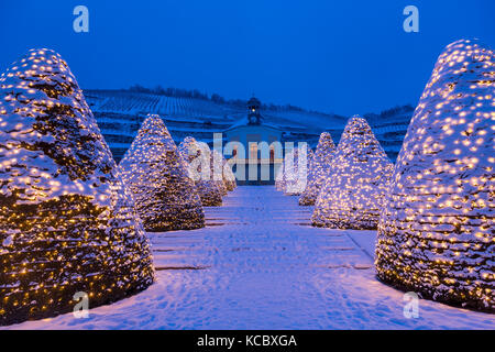 Belvedere-Pavillon im Winter vor Weinberge mit Weihnachtsbeleuchtung, Weingut Schloss Wackerbarth, Radebeul, Sachsen Stockfoto