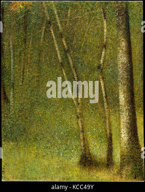Der Wald in Pontaubert, 1881, Öl auf Leinwand, 31 1/8 x 24 5/8 in. (79,1 x 62,5 cm), Gemälde, Georges Seurat (Französisch, Paris Stockfoto