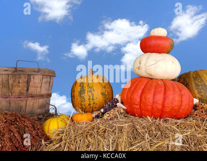 Herbst Kürbisse und Scheffel auf Heu Ballen mit blauem Himmel und Cloud Hintergrund Stockfoto