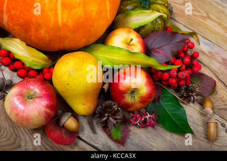 Danksagung Hintergrund mit Kürbis, Äpfel, Birne, Vogelbeeren, bunte Blätter und Eicheln. Stockfoto