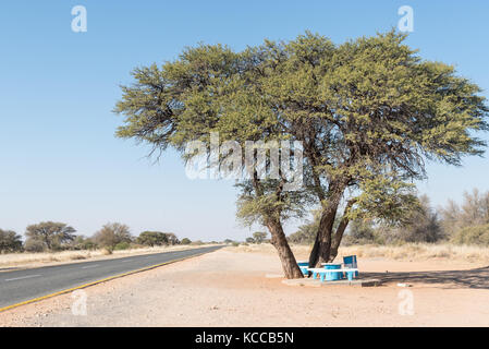 Ein Picknick unter einem Kamel Thorn Tree neben der b1-Straße in der Nähe von rehoboth, einer Stadt in der Kavango Region von Namibia Stockfoto