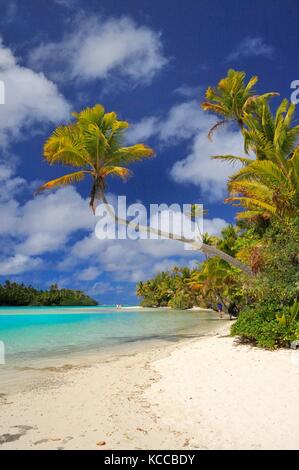 Ein Fuß Insel Aitutaki Stockfoto