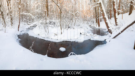 Kleiner Bach im Winter Wald Stockfoto