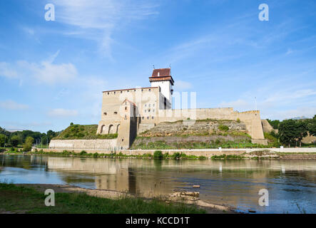 Narva Castle am Ufer im Sommer Tag Stockfoto