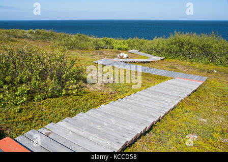 Ökologische trail auf der grossen Insel zayatsky, solovetsky Inselgruppe, Russland Stockfoto