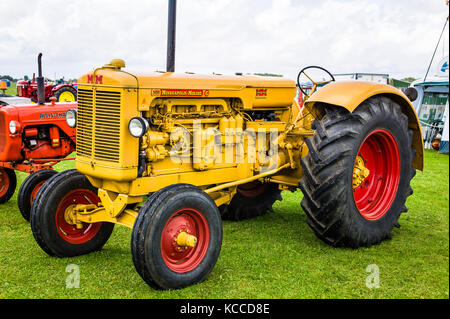 Minneapolis-Moline Ackerschlepper auf Anzeige an ein Land in Großbritannien anzeigen Stockfoto