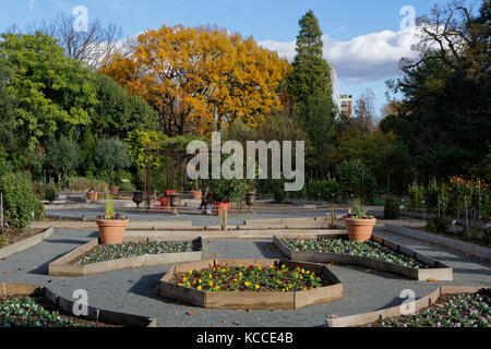 LYON, FRANKREICH, 19. November 2016 : Herbst im Parc de la Tete d'Or. Der Park ist einer der größten Stadtparks in Europa. Stockfoto