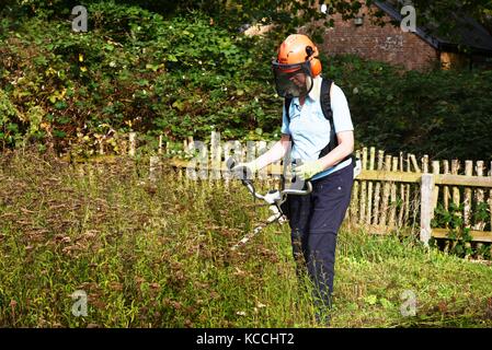 Gemeinderatsarbeiterin beim Mähen alter Blumenpflanzen im Naturschutzgebiet Stour River Valley im Herbst 2017. Stockfoto