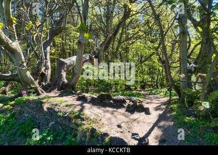 North Berwick, John Muir, Küste, East Lothian, Schottland, Großbritannien. Stockfoto