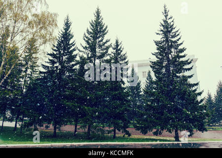 Den ersten Frost im Herbst. Schneefall auf dem Hintergrund der grüne Bäume. schlechtes Wetter. Stockfoto