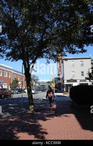 Eine Dame geht mit ihrem Hund eine schöne Straße im kolonialamerika entlang, in der nordatlantischen neuengland Region massachusetts Stockfoto