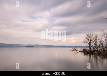 Lange Belichtung Blick auf einen See in der Abenddämmerung, mit perfekt noch Wasser, Skelett Bäume und ziehenden Wolken Stockfoto