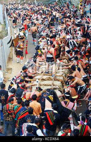 Stein ziehen Zeremonie, während Kisima Nagaland Hornbill Festival, Kohima, Nagaland, Indien Stockfoto