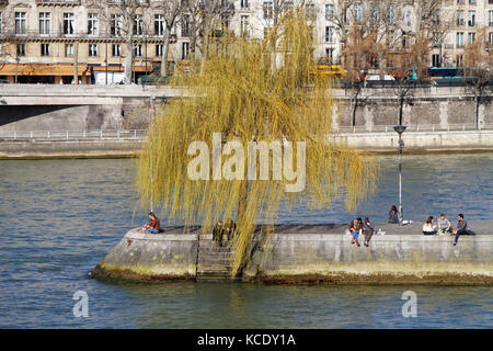 PARIS, FRANKREICH, 12. März 2015 : an der Spitze der Insel Ile de la Cite befindet sich der Square du Vert-Galant, ein Park, der zu Ehren von König Henr benannt wurde Stockfoto