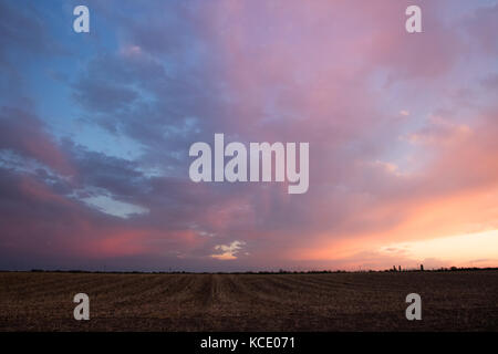 Sonnenuntergang über die Felder Stockfoto