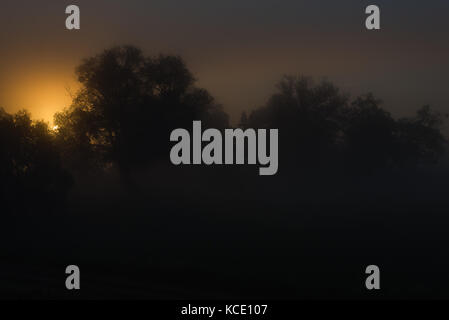 Sonnenaufgang im Sumpf im Oderbruch Stockfoto