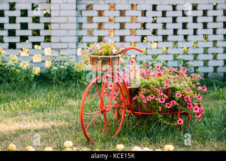 Dekorative vintage Modell altes Fahrrad ausgestattete Korb Blumen Garten. getönten Foto. Stockfoto