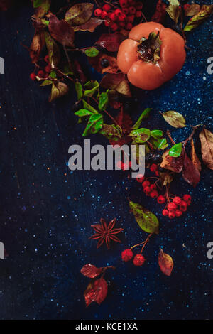 Reife persimonen auf einem dunklen Hintergrund mit Herbst Blätter, Beeren und Zimt. Wohnung mit Kopie Raum legen. Obst in dunklen Essen Fotografie. Stockfoto
