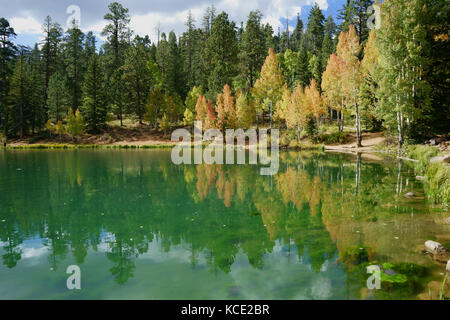 Aspen Mirror Lake, Dixie National Forest, Arizona, USAS Stockfoto