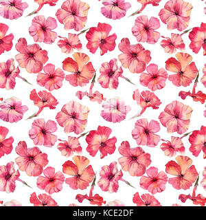 Phlox blumen Hand gezeichnet Aquarell Muster Stockfoto