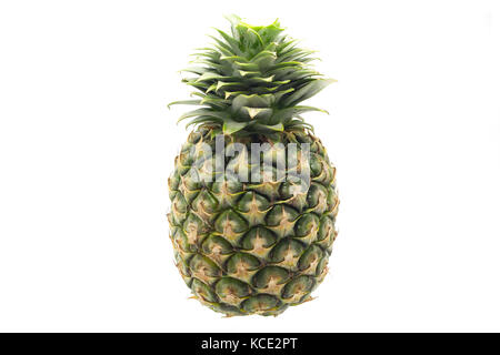 Frische Ananas auf weißem Hintergrund Stockfoto