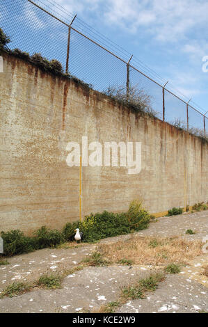 Die Erholung Hof im Alcatraz federal Penitentiary, San Francisco, USA Stockfoto