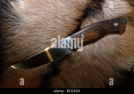 Ein feststehendes Messer Damast Messer und Scheide auf einem Wolf haut Hintergrund angezeigt. Stockfoto