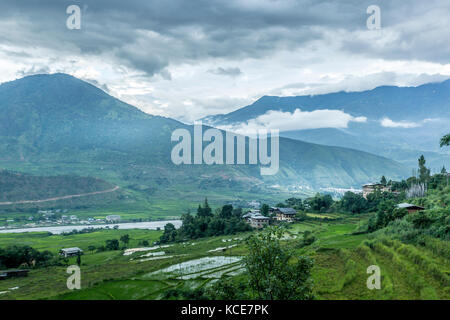 Punakha Tal, Bhutan, ist eine fruchtbare Gegend von Reisfeldern umgeben von steilen Bergen Stockfoto