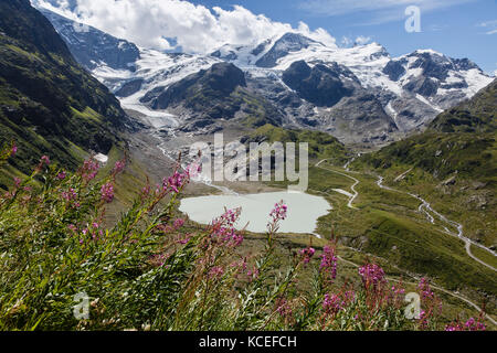 Blick von der Sustenpass, sustenhorn und der Stein Gletscher, Schweiz Stockfoto