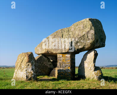Ty Newydd Grabkammer, eine zerstörte neolithischen chambered Grab, Isle of Anglesey. Die Steine der Grabkammer wurden ursprünglich von einem Cairn abgedeckt. Stockfoto