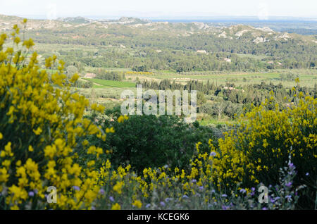 Alpilles, Provence, Frankreich Stockfoto