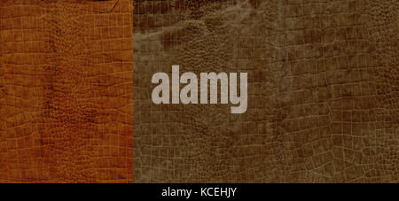Satz von Braun kroko leder Textur für Hintergrund Stockfoto