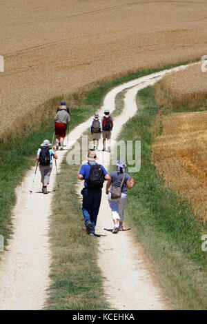 LA ROMIEU, FRANKREICH, 24. Juni 2015 : EINE Gruppe von Pilgern geht auf dem Weg der Chemins de Compostelle. Pilgerfahrt nach Santiago de Compostela war Stockfoto